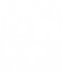 Feesten en partijen icoon